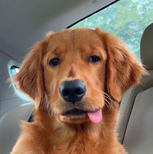 Meet your Posher, Just